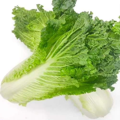 深圳福田蔬菜的配送